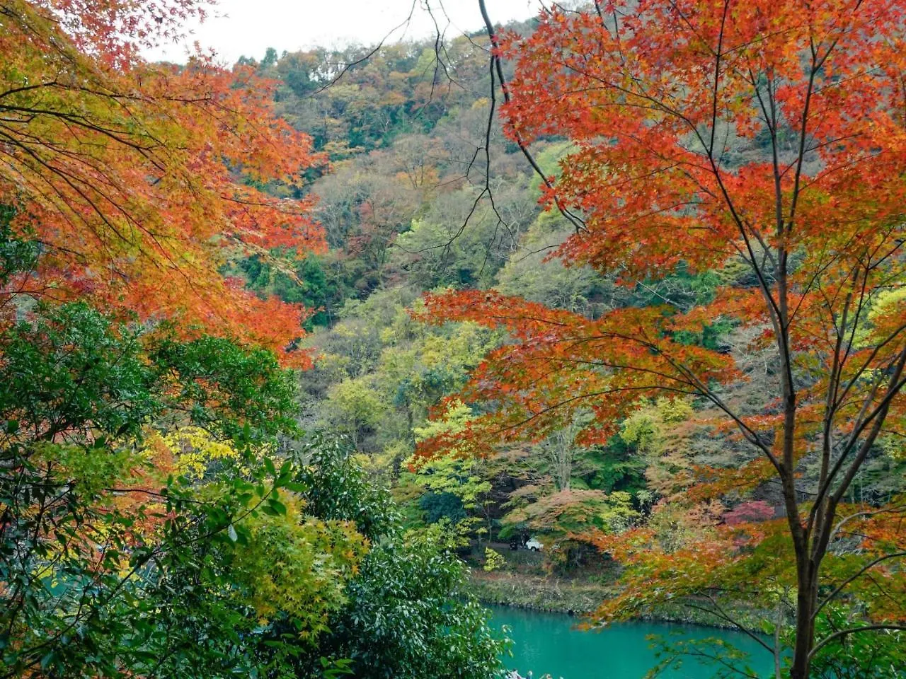 Kyoto Machiyado Shijokarasuma Hotel
